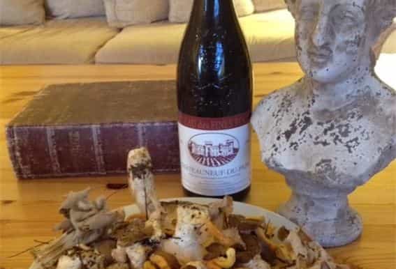 provence mushroom hunting with outdoor breakfast