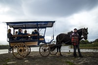 Killarney on Horse & Carriage, 1-Hour Jaunting Car Tour - Housity
