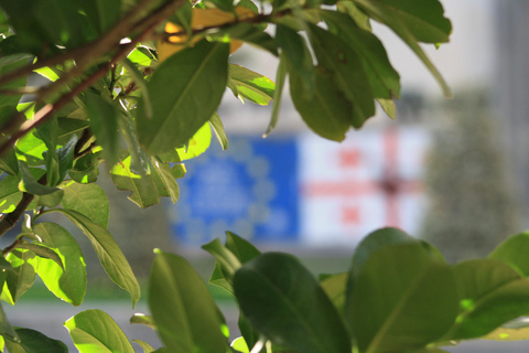 Tbilisi: Modern History Walking Tour with a Local Guide Small Group