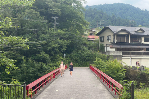 东京出发：日光私人导览之旅含午餐