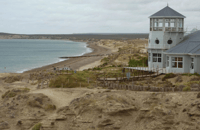 Chubut, Puerto Madryn City Tour et Punta Loma HD Tour - Hizvo