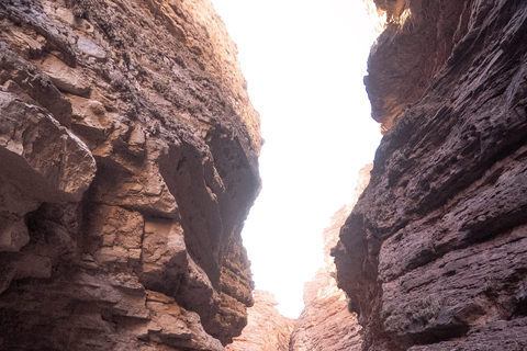 Cafayate: Tour de dia completo por bodegas y degustacion de vinos