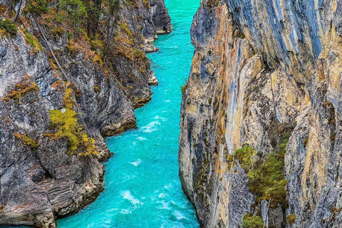 Banff/Calgary: Excursión de un día al glaciar Crowfoot y 5 lagos emblemáticos