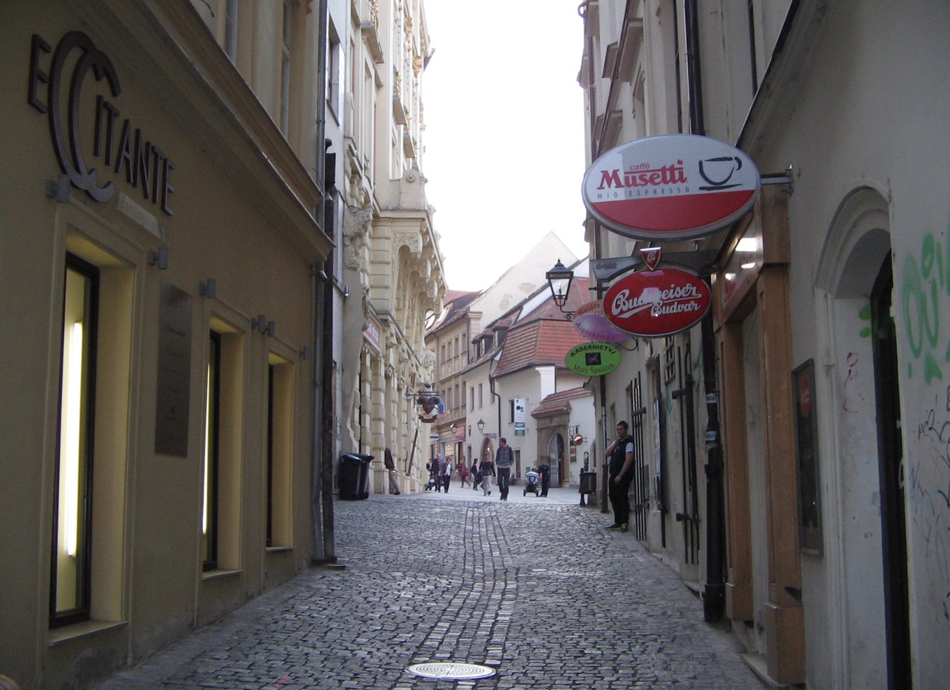 Brno: Historisk byvandring i centrum