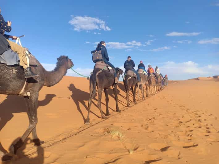 Depuis Marrakech : Expérience de 4 jours au Sahara marocain - dromadaire