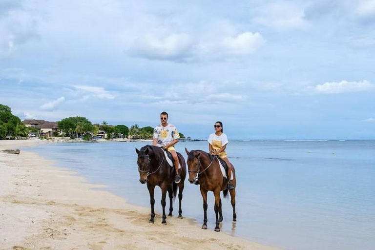 Norway-Gålå: Horseback Riding Tour with Refreshments