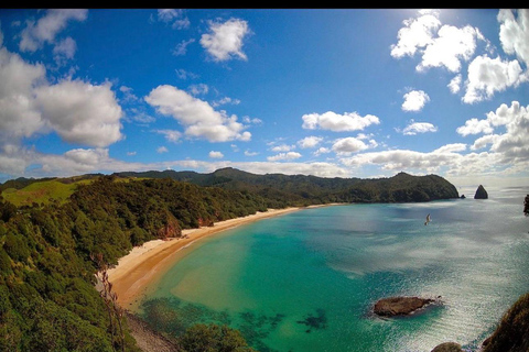 Auckland: Hidden Gem Coromandel& Cathedral Cove Private Day