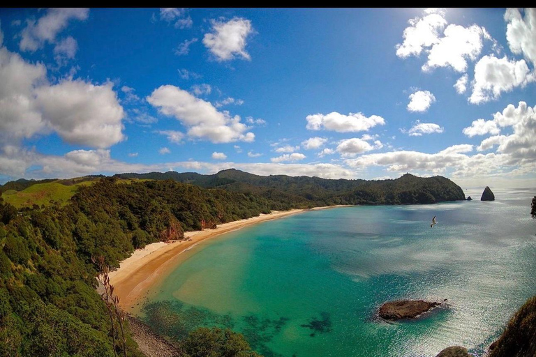 Auckland: Hidden Gem Coromandel& Cathedral Cove Private Day