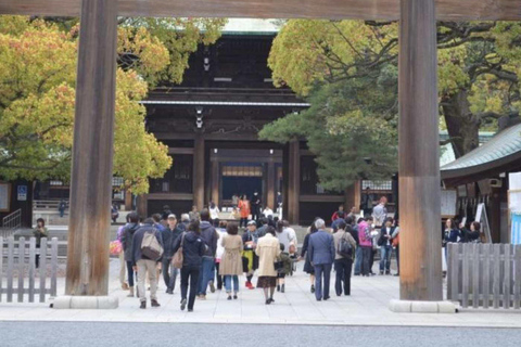 Tokyo City Private Day Tour By English Speaking Driver