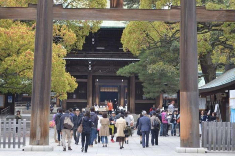 Tokyo City Private Day Tour By English Speaking Driver