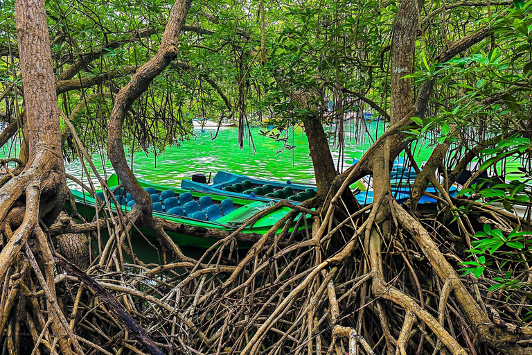 From Colombo: Mangroves, Turtles & Golden Shores