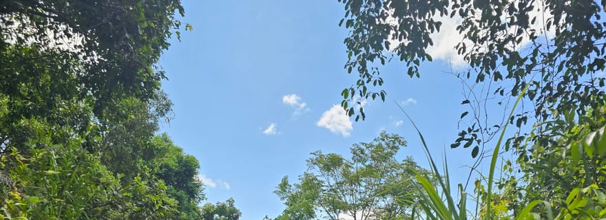 Sanctuaire My Son et randonnée en montagne - Pèlerinage