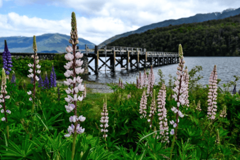 San Martin de los Andes: Hua Hum sightseeingtour per bus