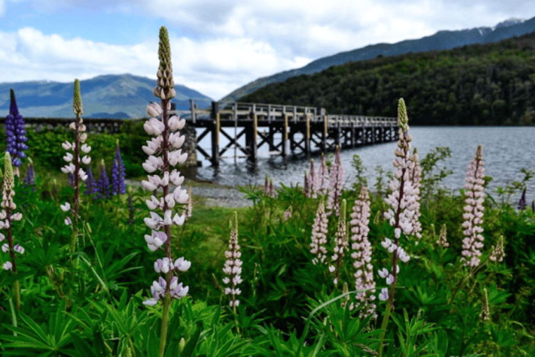 San Martin de los Andes: Hua Hum Sightseeing-tur med bussSan Martin de los Andes: Hua Hum sightseeingtur med buss