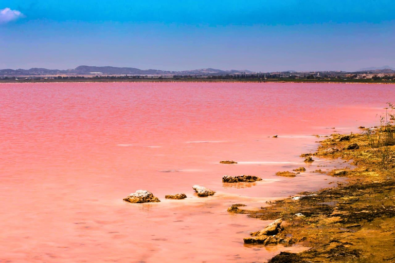 Guba-Khinalig Group Tour with handmade lunch options Baku: Candy Cane, Guba, Khinaliq village with Homemade Lunch