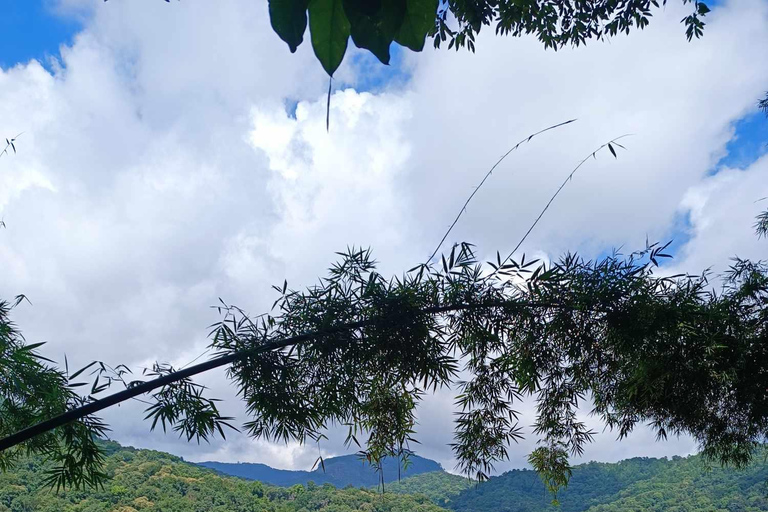 Chiang Mai : Parc national de Doi Inthanon et sanctuaire des éléphants