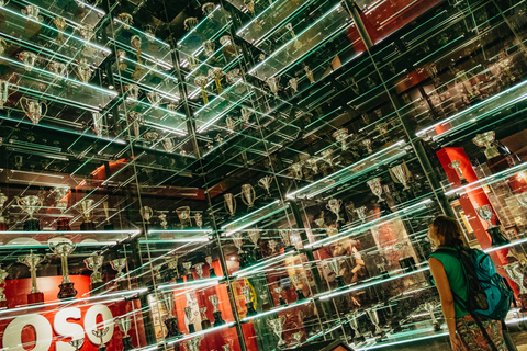 Lisbonne : visite du stade de Luz et du musée BenficaBillet standard