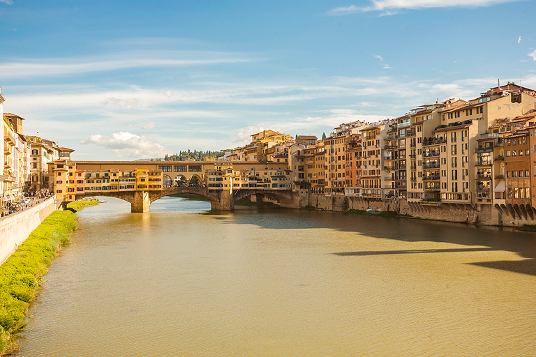 Florencja: piesza wycieczka i wycieczka po galerii AkademiiWycieczka w języku angielskim