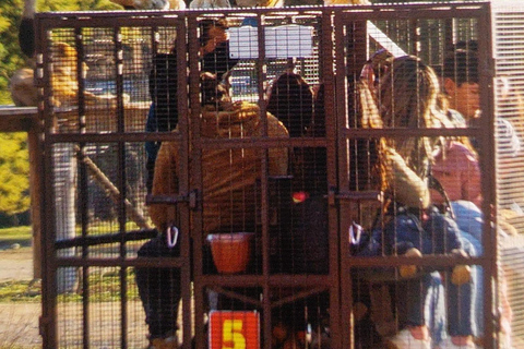 Santiago : visite du parc safari