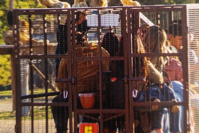 Santiago : visite du parc safari