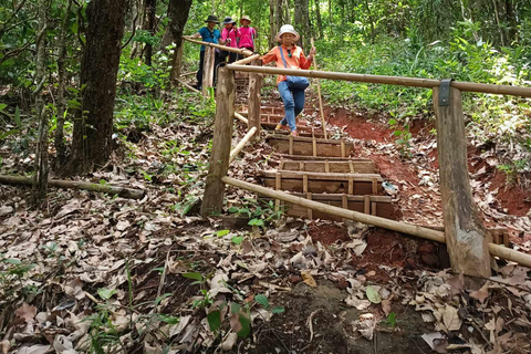 Chiang Mai: Doi Inthanon National Park & Elefantenschutzgebiet