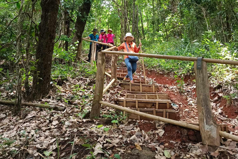 Chiang Mai : Parc national de Doi Inthanon et sanctuaire des éléphants