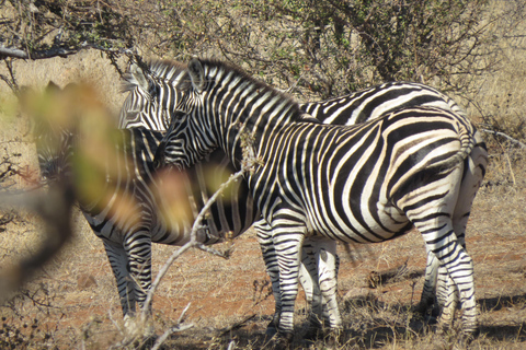 Zimbabwe: 7-Day Victoria Falls, Hwange & Matobo Tour