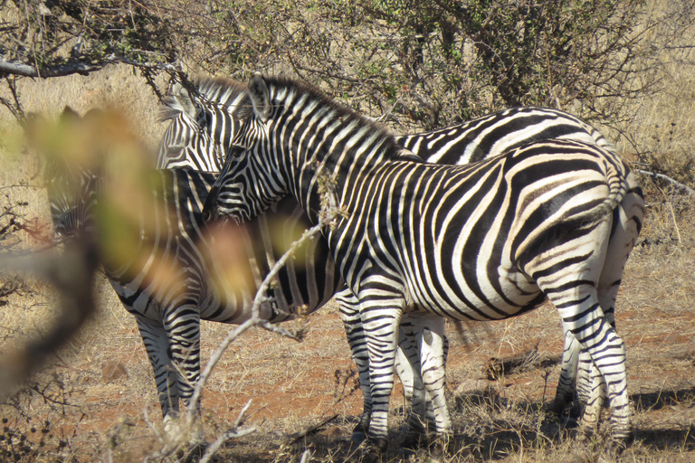 Zimbabwe: 7-Day Victoria Falls, Hwange & Matobo Tour