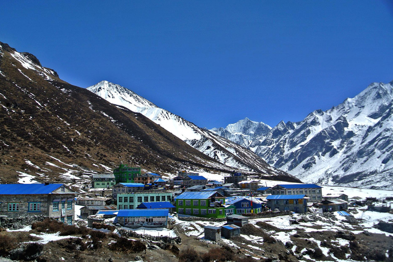 From Kathmandu: Private 8 Days Langtang Valley TrekFrom Kathmandu: 8 Days Langtang Valley Trek