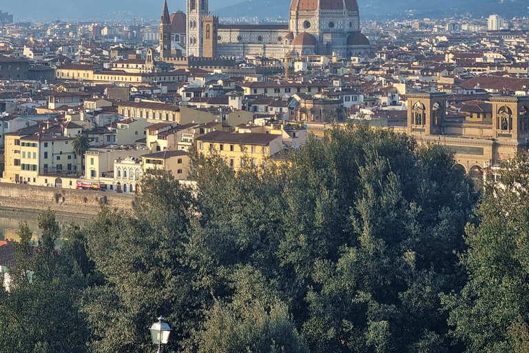 Florença e Pisa com acesso à Torre Inclinada a partir de Roma