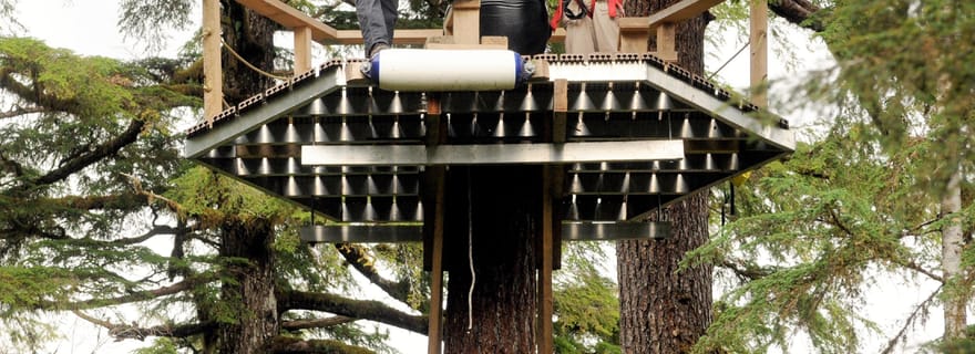 Ketchikan : Aventure dans la canopée et la tyrolienne de la forêt tropicale