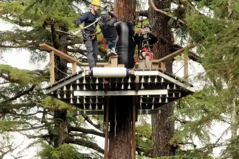 Ketchikan: Rainforest Canopy & Zipline Adventure