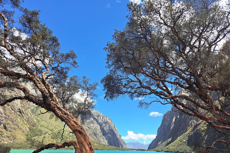 Huaraz: Heldag Laguna Llanganuco + Yungay + Carhuaz