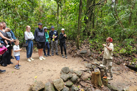 Mossman: Viaggio nella foresta pluviale di Daintree con crociera con i coccodrilli