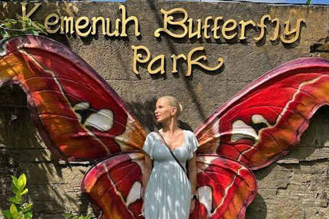 Bali: cascatas, floresta dos macacos e parque das borboletas