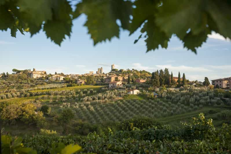 wine tour from san gimignano