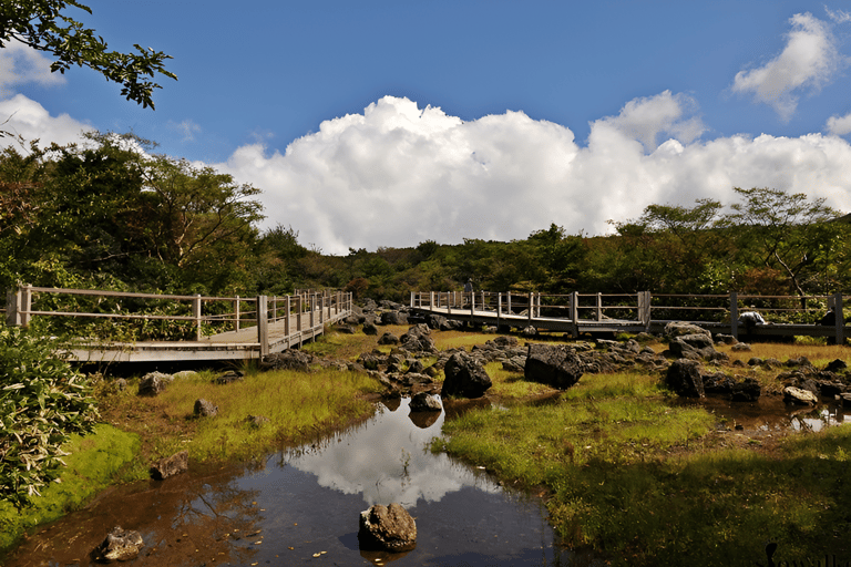 Jeju island : South & Western Full-Day Tour