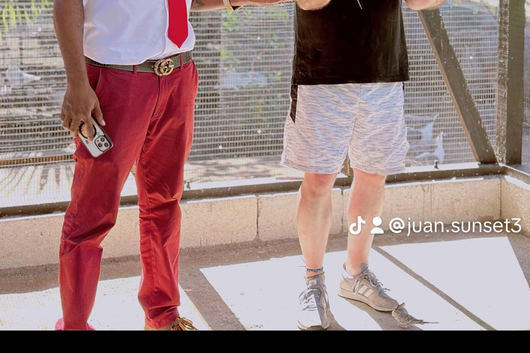 Doctor cave beach one of the best beaches in Montego Bay