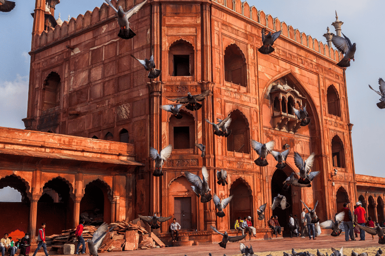 Delhi: Tour durch eine Slum-Siedlung mit Mittagessen und Rikscha-FahrtDelhi: Tour durch die Slums mit Mittagessen und Rikscha-Fahrt