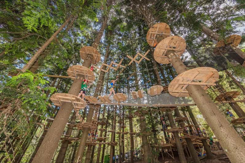Tree Rope Course Plan Pennant Hills: Tree Ropes Course Session | GetYourGuide