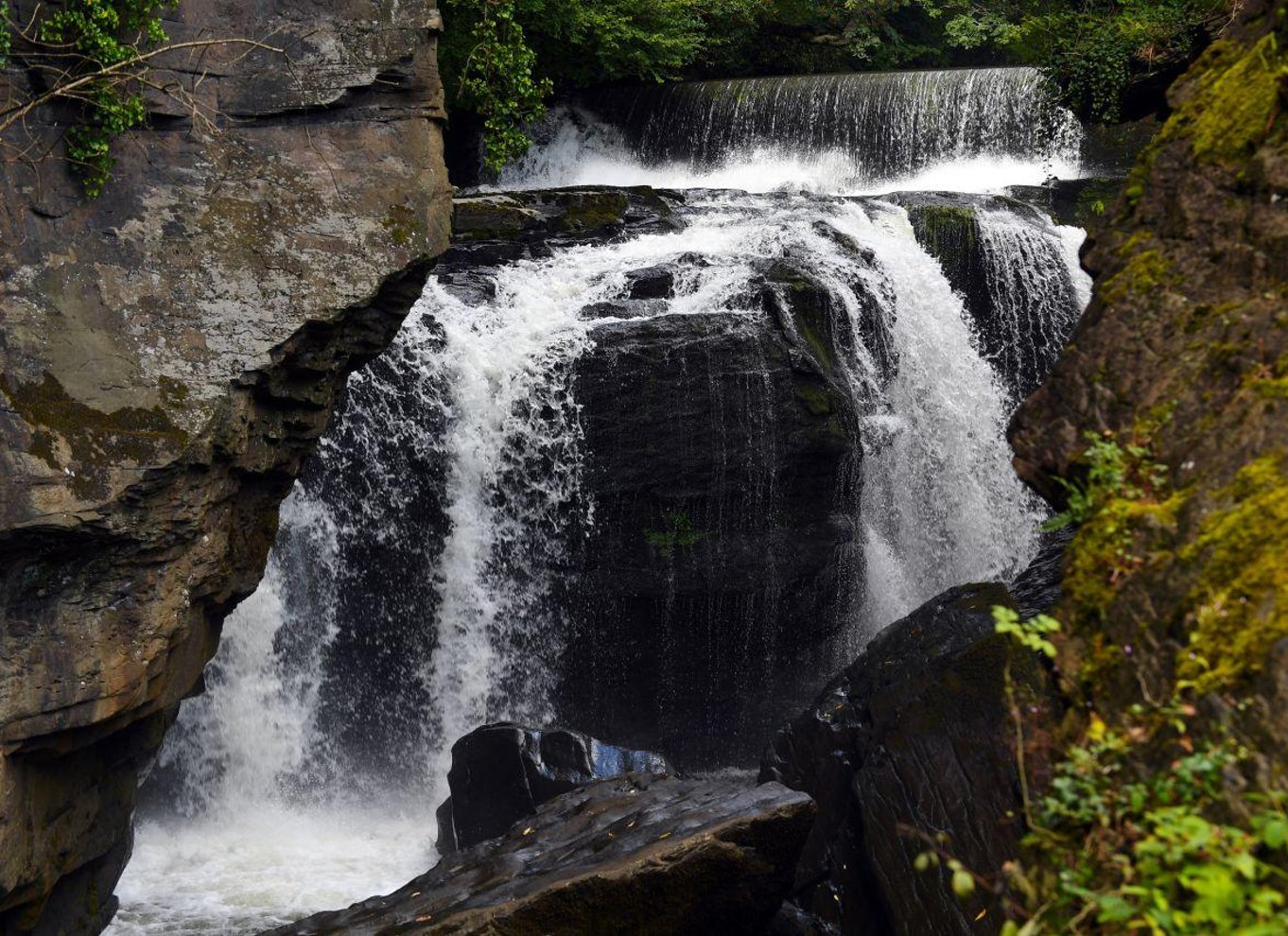 Fra Cardiff: Guidet tur til vandfald i South Wales