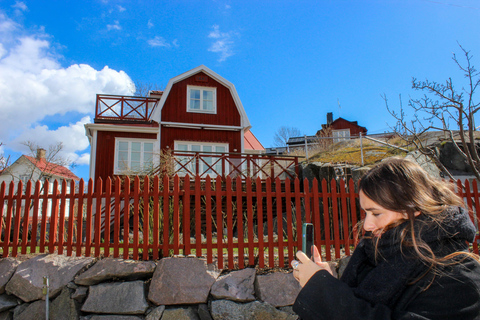 Vaxholm e Arquipélago de Estocolmo: Excursão guiada, viagem de 1 diaVaxholm e Arquipélago de Estocolmo: Tour guiado, viagem de 1 dia