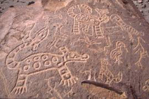 Tour Petroglyphs of Dead Bull and Querullpa