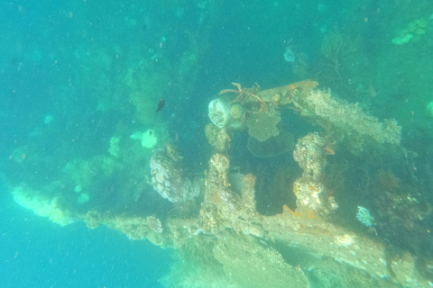 REV OCH VRAK - JAPANSKA WWII OCH SNORKLING I KORALLTRÄDGÅRD