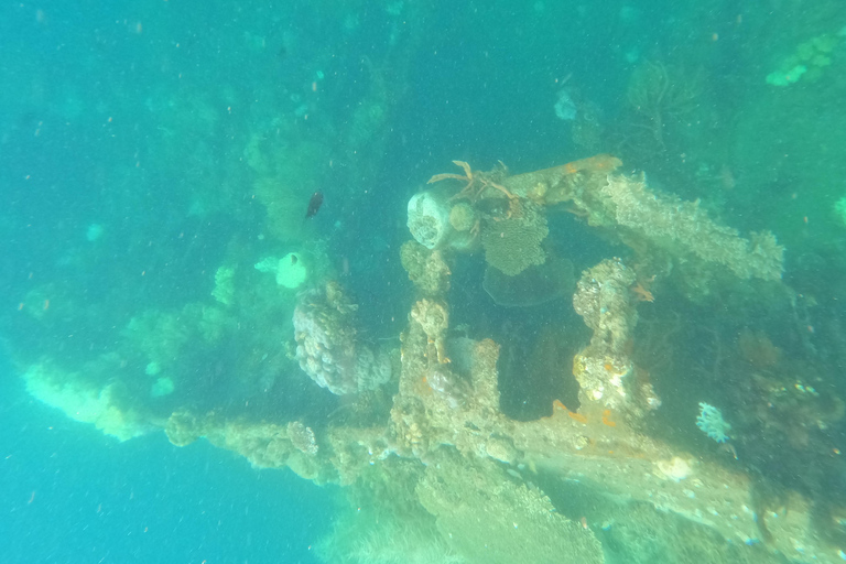 RÉCIF ET ÉPAVE - WWII JAPONAIS ET JARDIN DE CORAIL SNORKELING