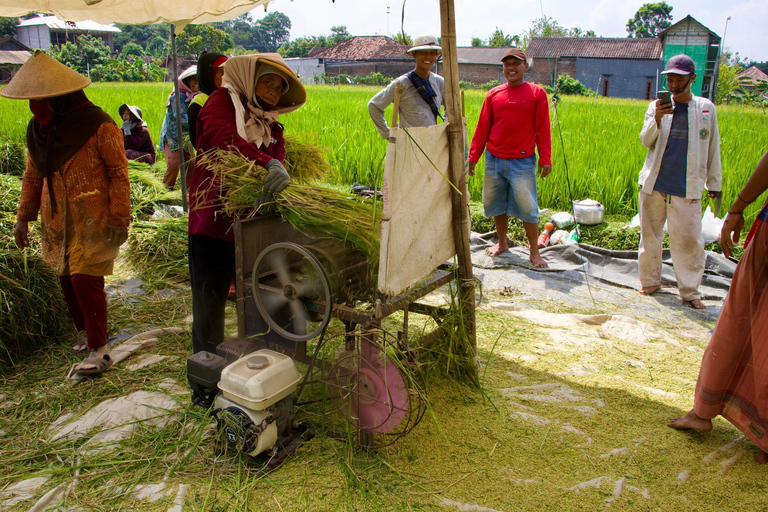 Yogyakarta: The Art of Practical Gamelan Music Playing