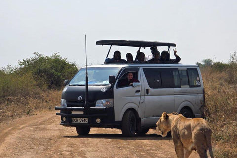 Nairobi National Park&Elephant Orphanage&Giraffe Centre Tour