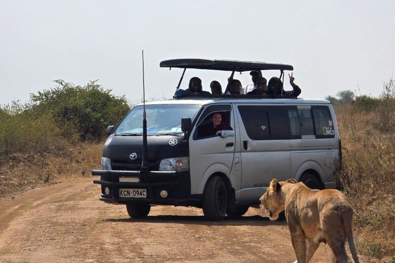 Nairobi National Park&Elephant Orphanage&Giraffe Centre Tour