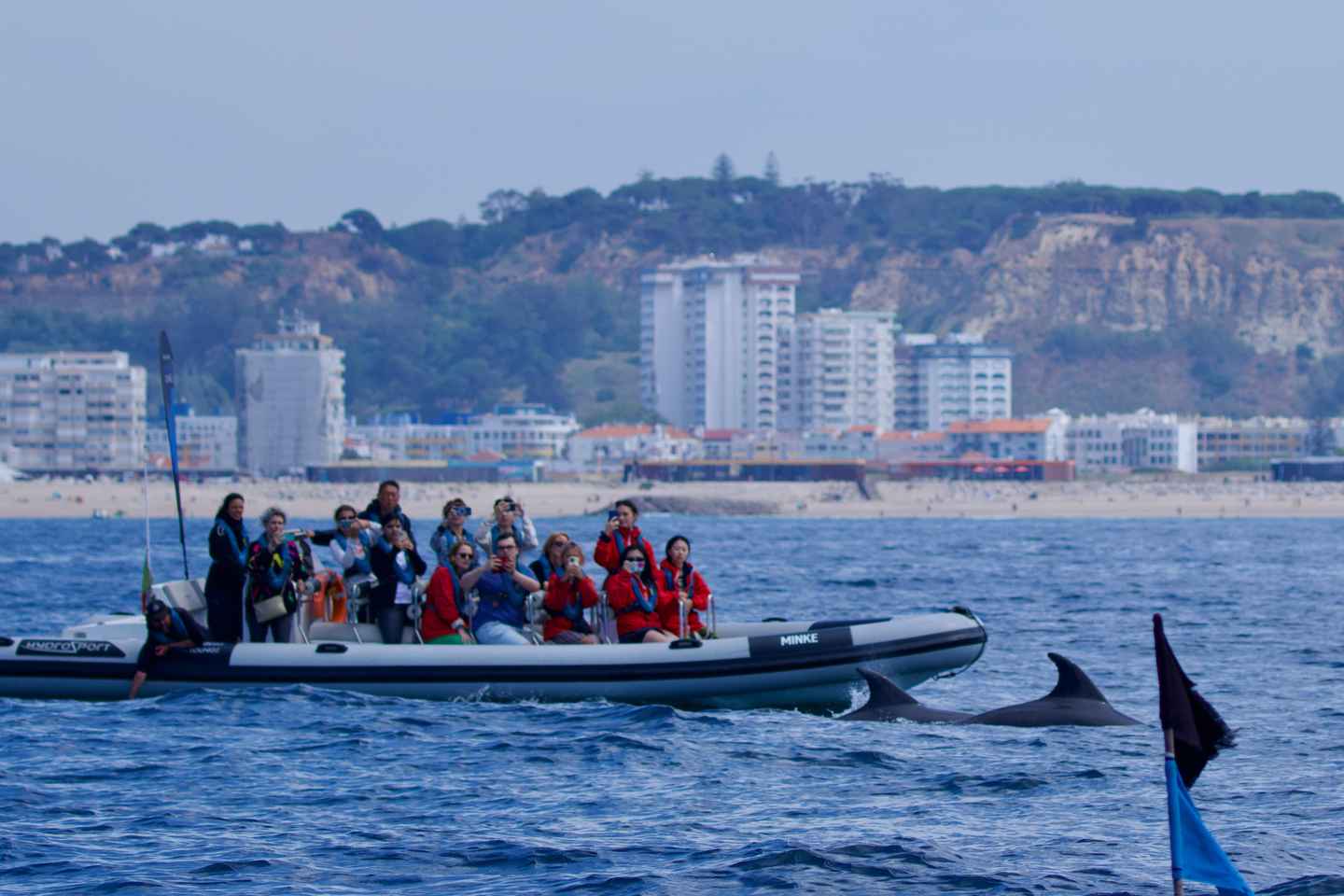 Lisbonne : Croisière Dauphins avec Café d'Accueil
