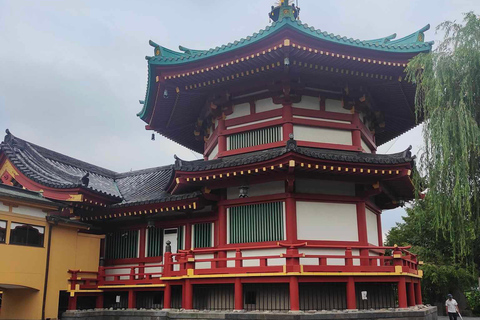 Private guided tour of Tokyo and surrounding area with English-speaking guide